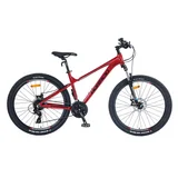 Horaciobikes Flame
