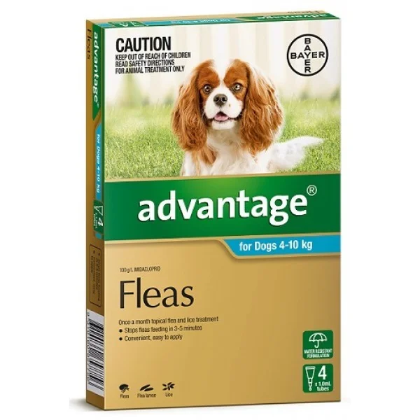 ivermectin for dogs fleas