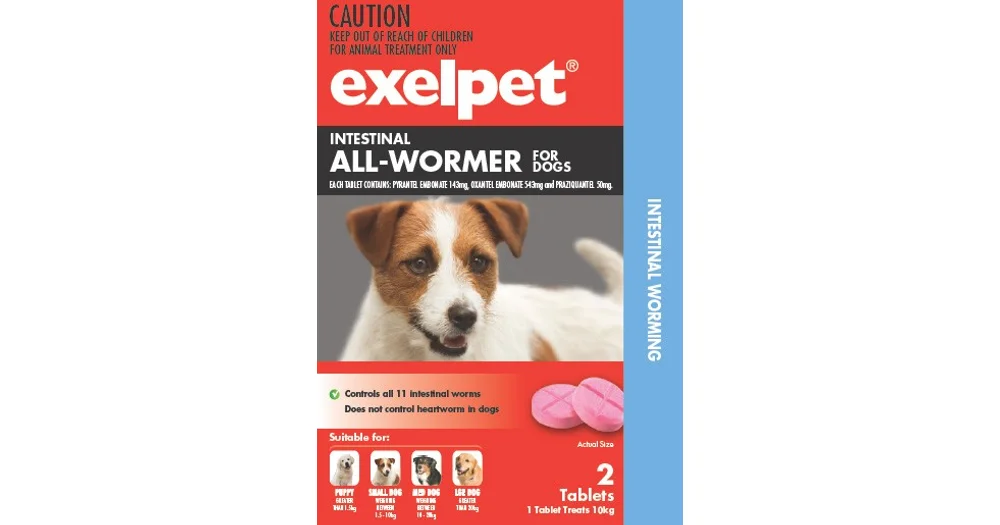 Exelpet Intestinal All-Wormer For Dogs | ProductReview.com.au