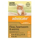 Advocate for Dogs & Cats