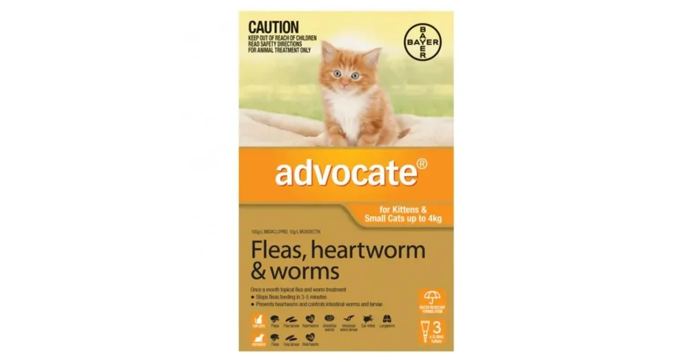 Cat licked 2024 advocate flea treatment