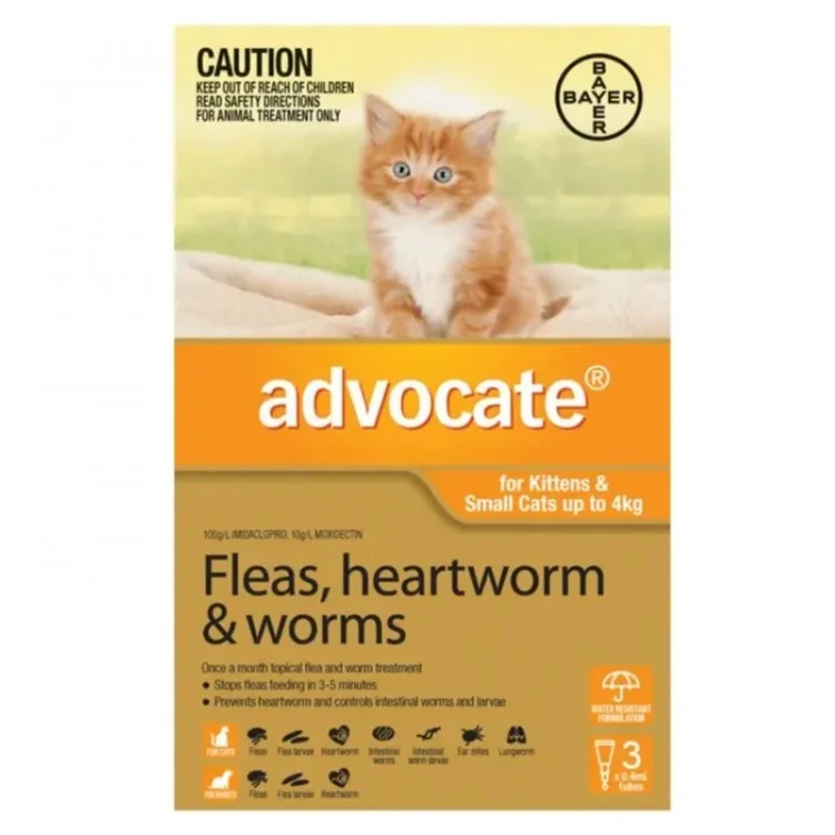 Advocate for Dogs & Cats reviews