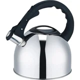 Wanderer Whistling 2.5L Kettle