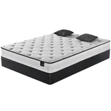 Zzz Atelier Mattress Zzz Assured Firm Queen