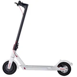 Windek Foldable Electric Scooter
