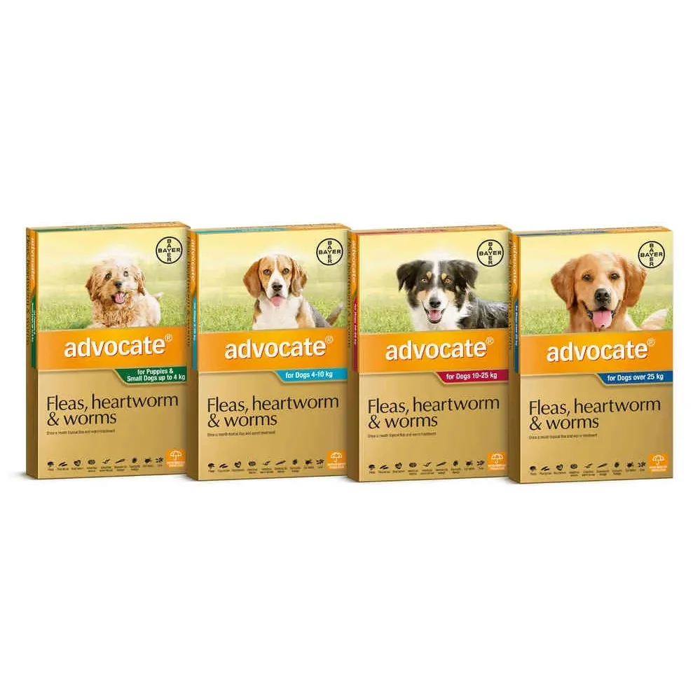advocate fleas heartworm and worms for dogs