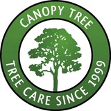 Canopy Tree