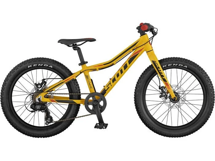 scott scale jr mountain bike