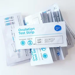 Pregnancy Tests