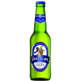 Bluetongue Premium
