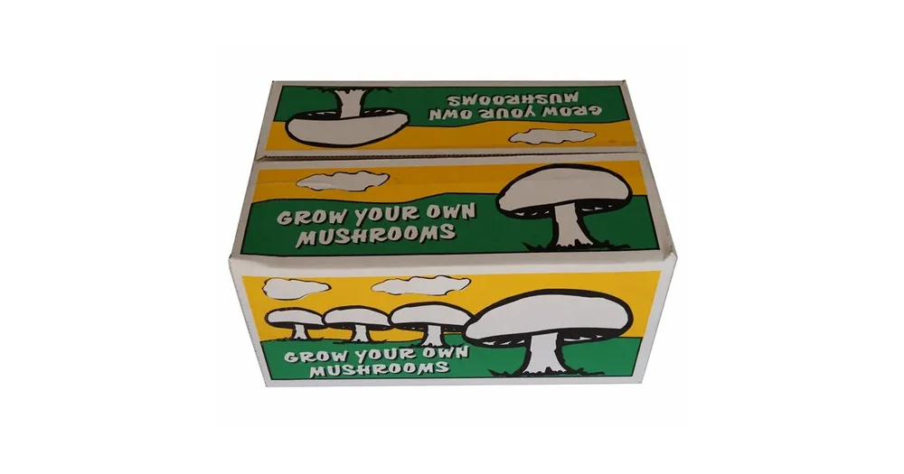 Grow Your Own Mushroom Kit reviews | ProductReview.com.au