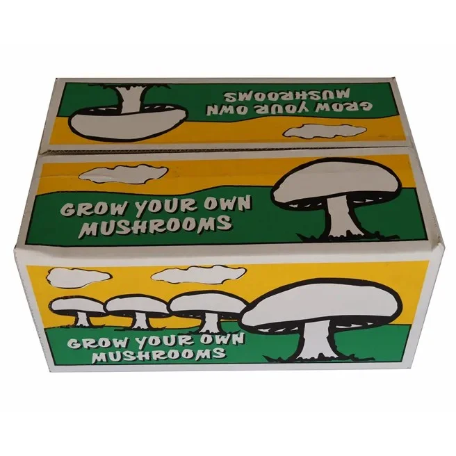 Grow Your Own Mushroom Kit reviews | ProductReview.com.au