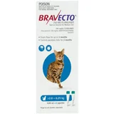 Bravecto Spot On for Cats Medium (2.8 - 6.25kg)