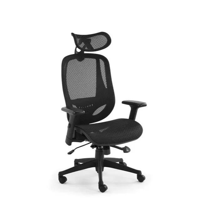 Ergolux EZ9 Ergonomic Mesh Office Chair reviews