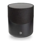 Bluesound Pulse M