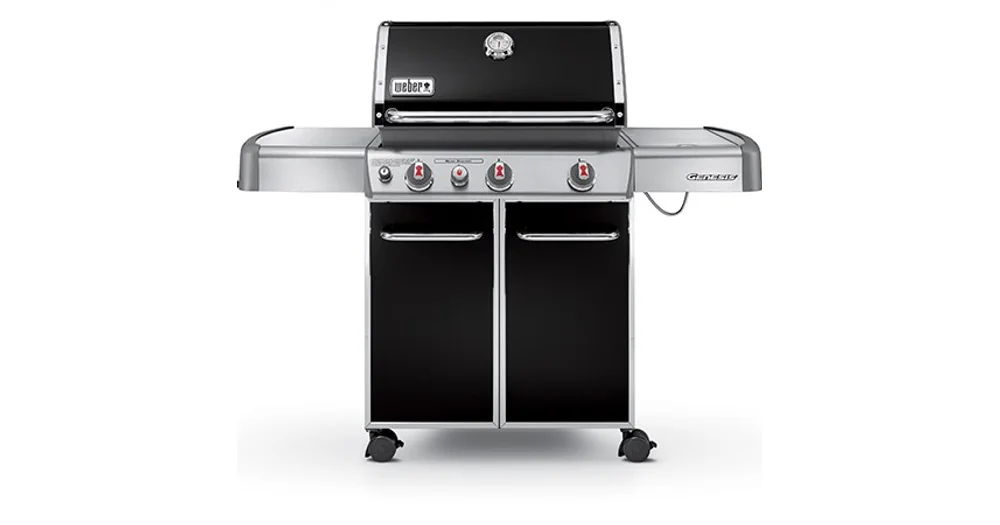 Weber Genesis Questions