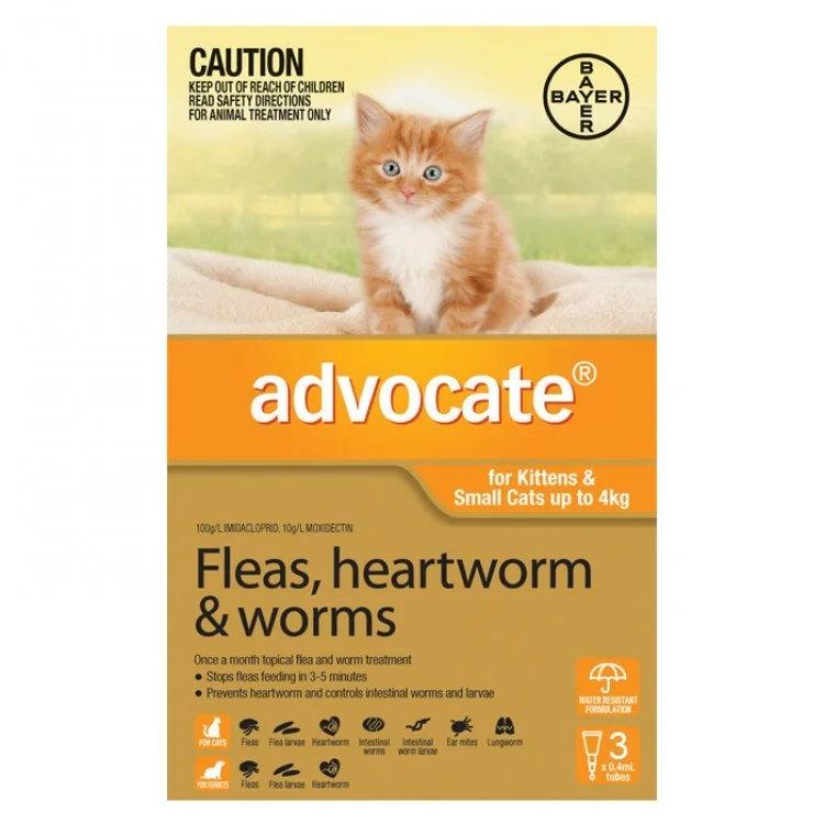 cat ingested advocate