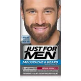 Just for Men Moustache & Beard