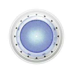 Pool Accessories