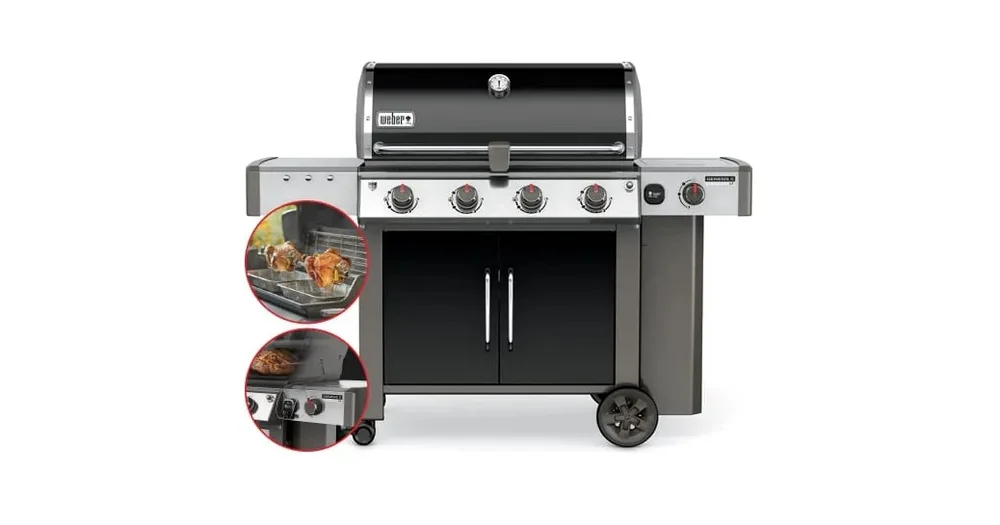 er genesis gold burner replacement