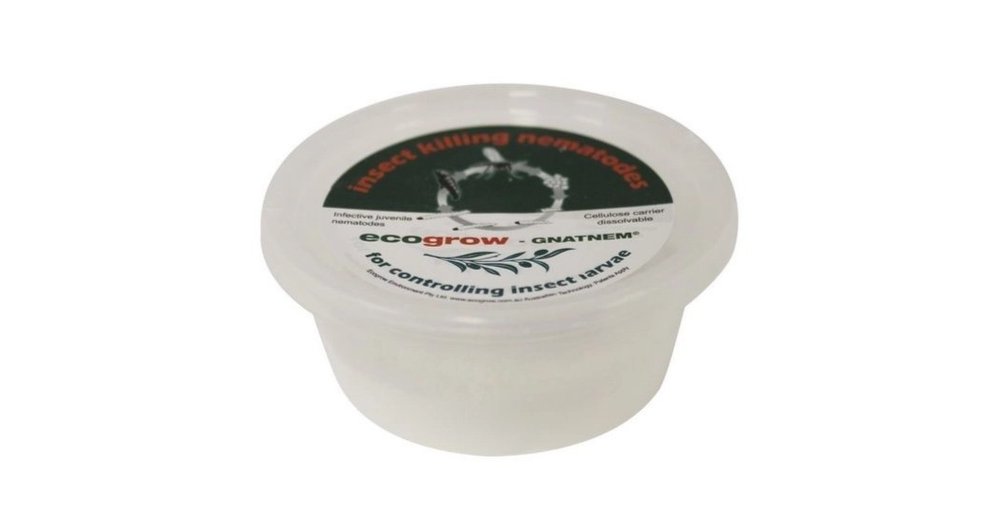 Ecogrow Fungus Gnat Gnatnem reviews | ProductReview.com.au