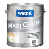 Wattyl Maxi Ceiling Toned Flat
