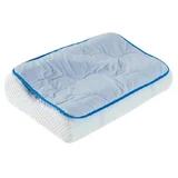 Ecosa Cooling Pillow Overlay