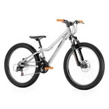 Vuly Mountain Bike 20 / 24"