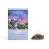 Roogenic Native Sleep Tea