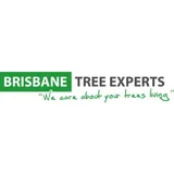 Brisbane Tree Experts