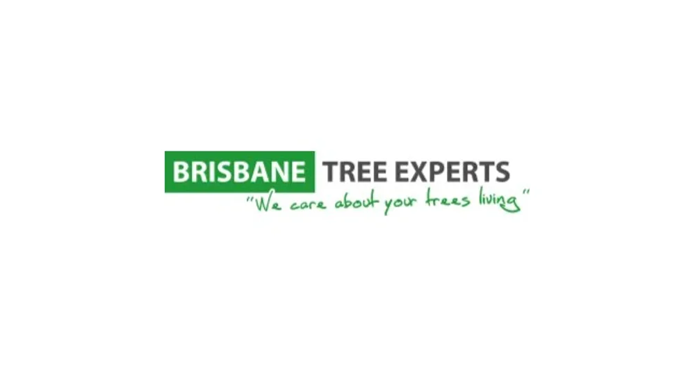 Brisbane Tree Experts