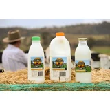 Scenic Rim 4Real Milk