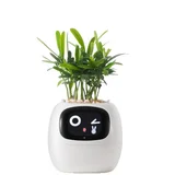 Plantie Smart Pot