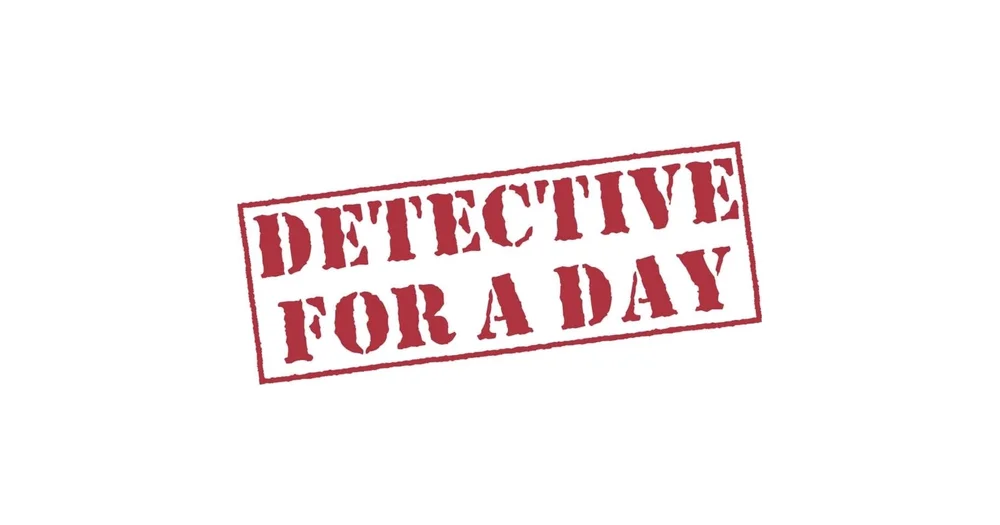 Detective for a Day reviews