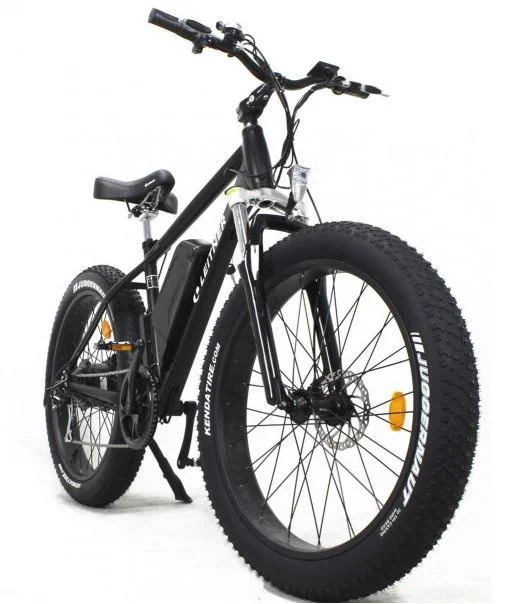 Leitner Electric Fat Bike reviews