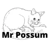 Mr Possum