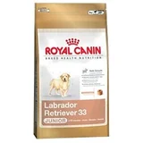 Royal Canin Labrador Retriever 33