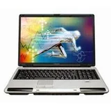 Toshiba Satellite Pro P100