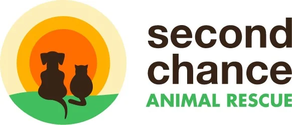 Second 2024 chance animal