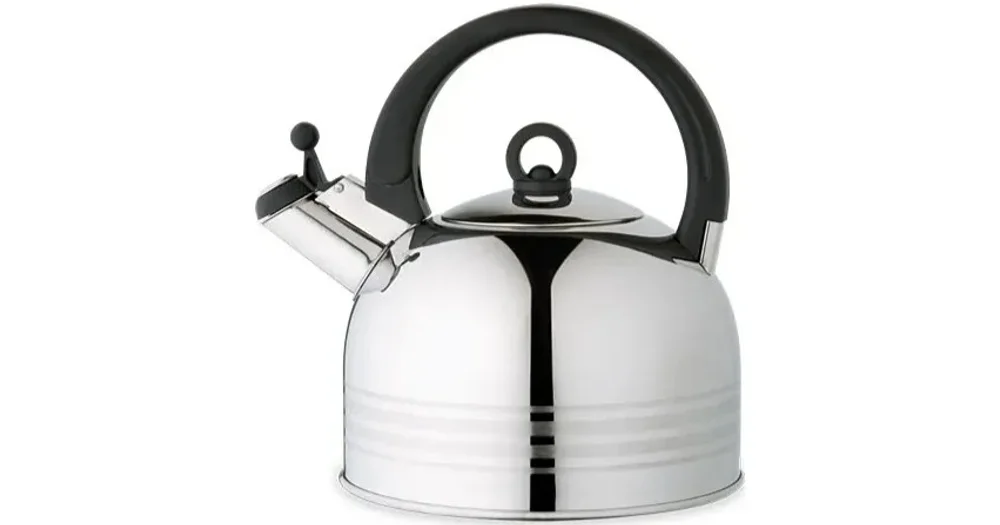 Baccarat Classic Stainless Steel Stovetop Kettle reviews