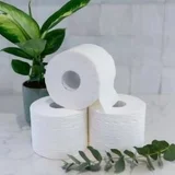 Cheeky Just Nude Unwrapped Toilet Paper