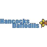Hancock Daffodils