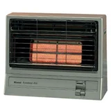 Rinnai Econoheat 850