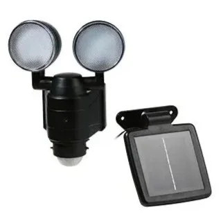 Dual head on sale security light