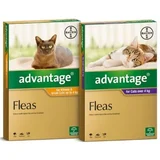 Advantage for Cats
