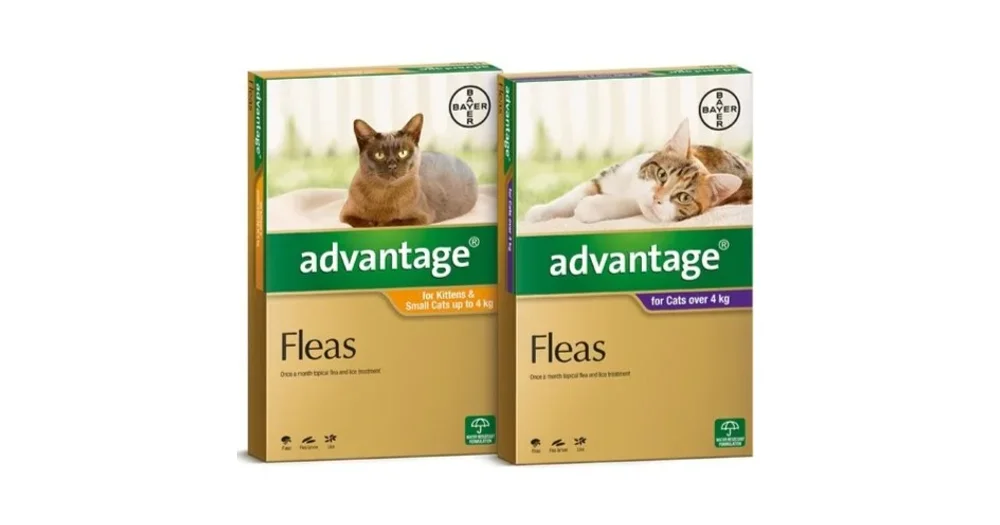 Advantage for Cats reviews ProductReview