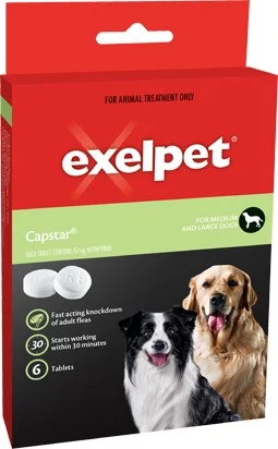 Exelpet 2024 flea shampoo