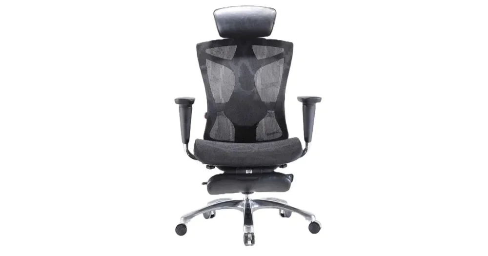 ErgoTune Supreme vs Sihoo M57 Office Chairs: Which Is Best?