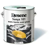 Resene Sonyx 101