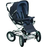 Bertini Bidwell Steerable Horizon